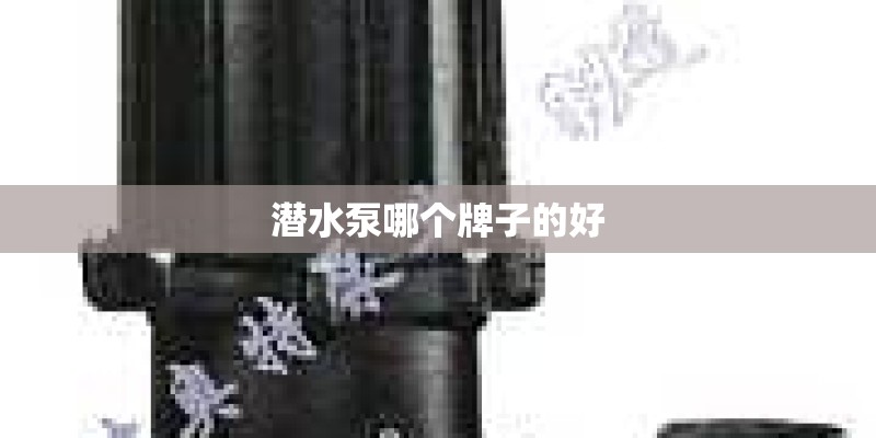 潜水泵哪个牌子的好