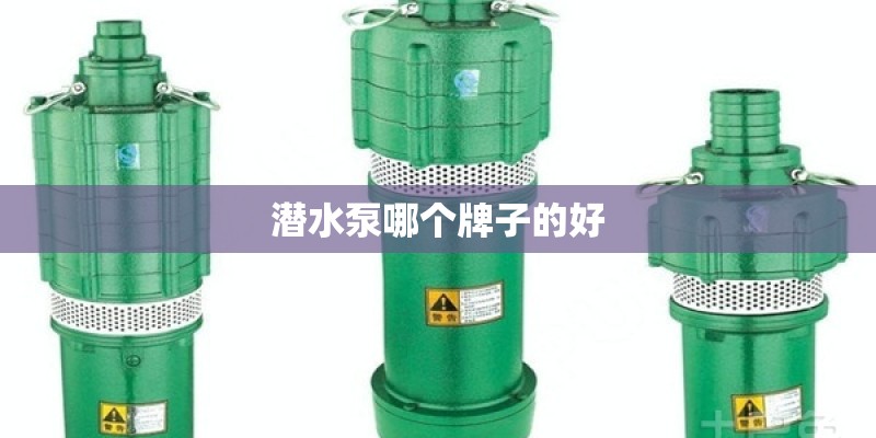 潜水泵哪个牌子的好