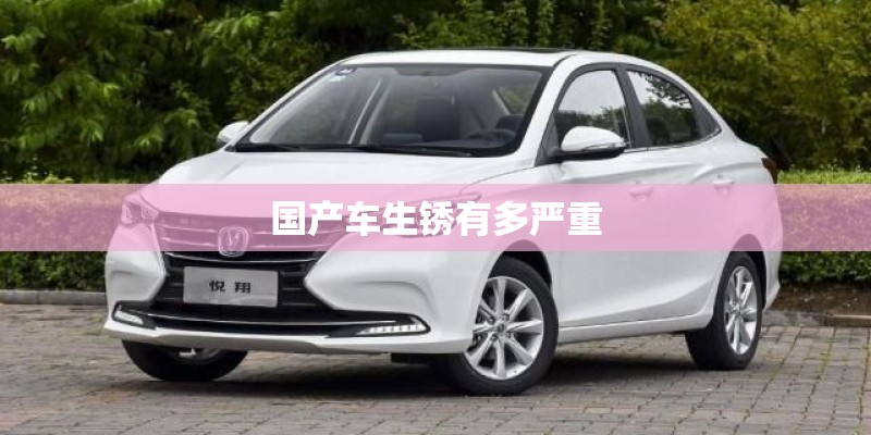 国产车生锈有多严重