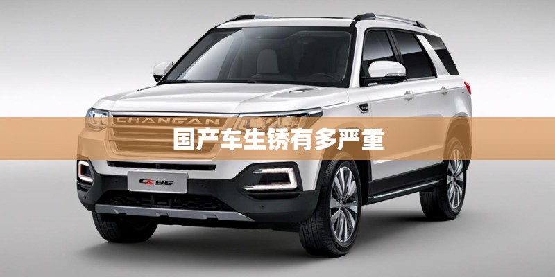 国产车生锈有多严重