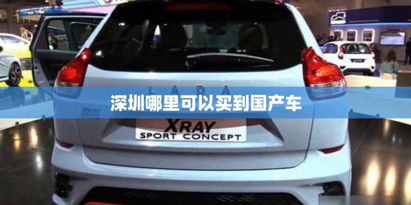 深圳哪里可以买到国产车 深圳哪里可以买到国产车