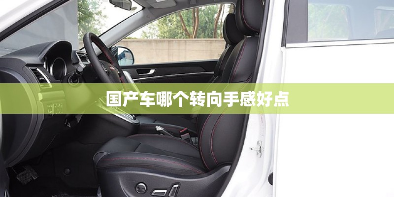国产车哪个转向手感好点