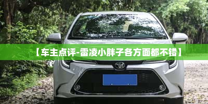 【车主点评-雷凌小胖子各方面都不错】 【车主点评-雷凌小胖子各方面都不错】