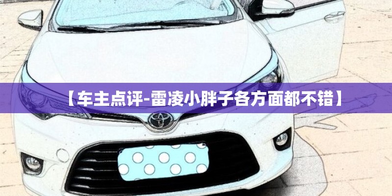 【车主点评-雷凌小胖子各方面都不错】 【车主点评-雷凌小胖子各方面都不错】