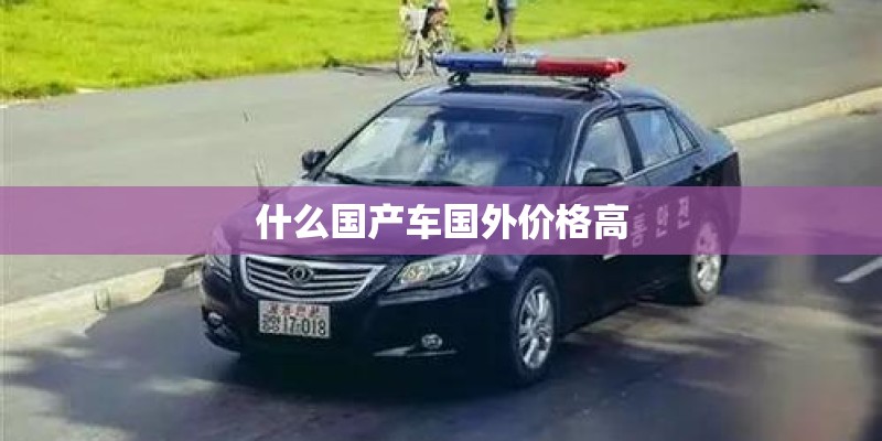 什么国产车国外价格高