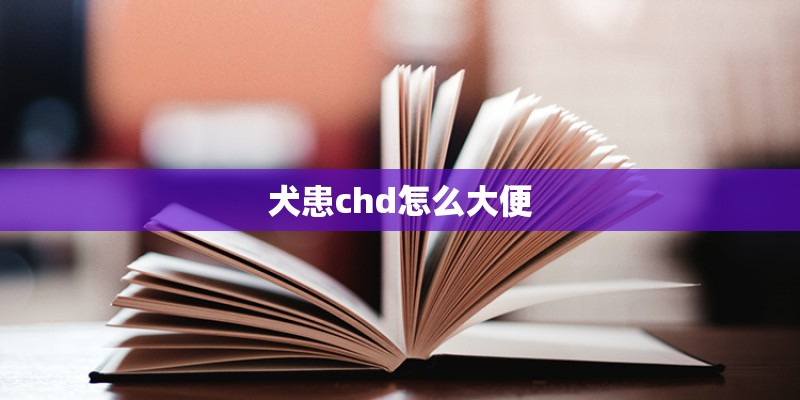 犬患chd怎么大便