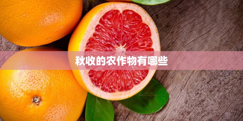 纸巾创意的广告词_有新意的湿纸巾广告词