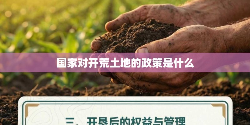 国家对开荒土地的政策是什么