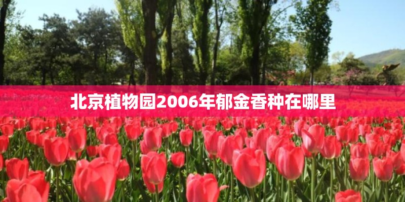 北京植物园2006年郁金香种在哪里