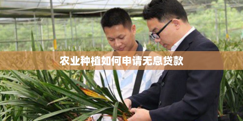 农业种植如何申请无息贷款