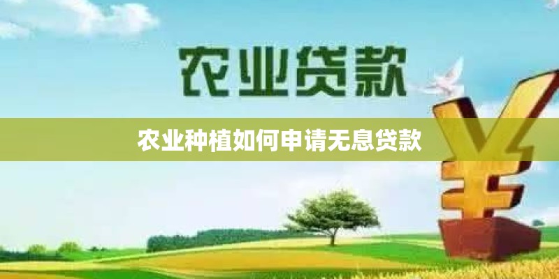 农业种植如何申请无息贷款