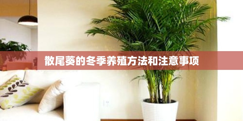 安徽淮北地区可以种植板栗吗