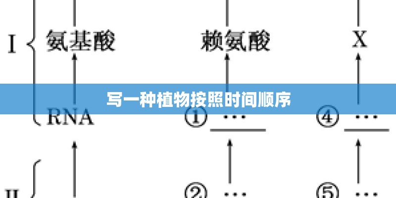 写一种植物按照时间顺序
