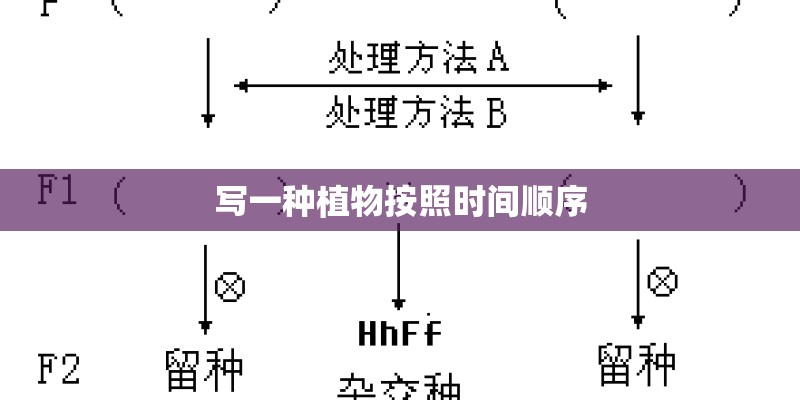 写一种植物按照时间顺序