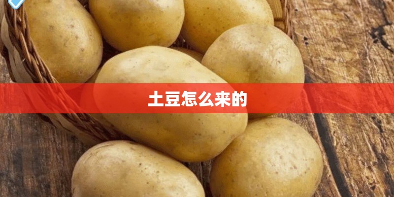 土豆怎么来的 土豆怎么来的