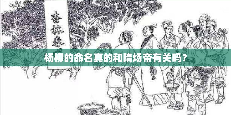 杨柳的命名真的和隋炀帝有关吗? 杨柳的命名真的和隋炀帝有关吗?