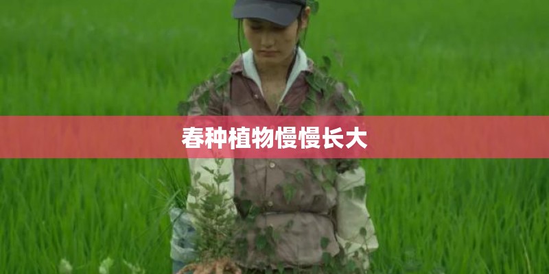 春种植物慢慢长大