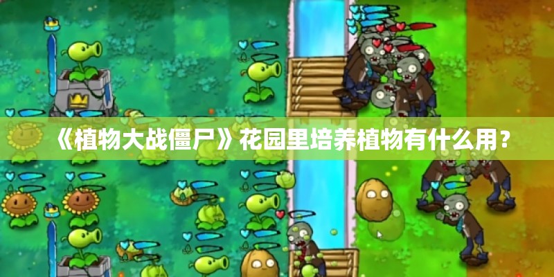 《植物大战僵尸》花园里培养植物有什么用? 《植物大战僵尸》花园里培养植物有什么用?
