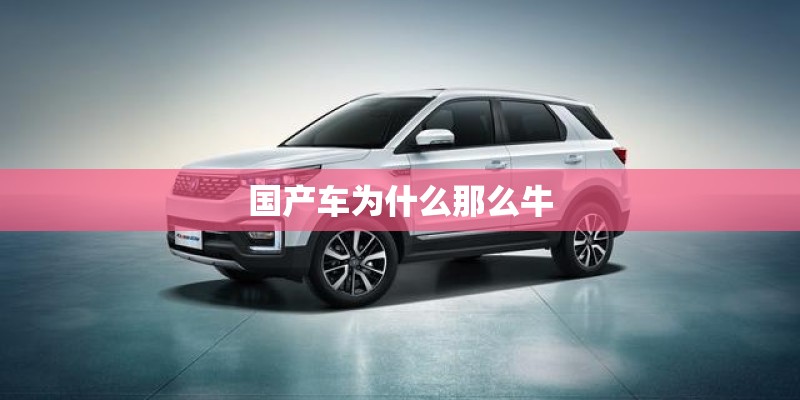 国产车为什么那么牛 国产车为什么那么牛