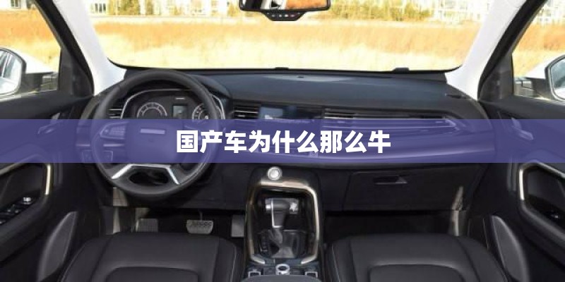 国产车为什么那么牛 国产车为什么那么牛