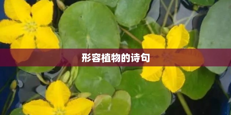 形容植物的诗句