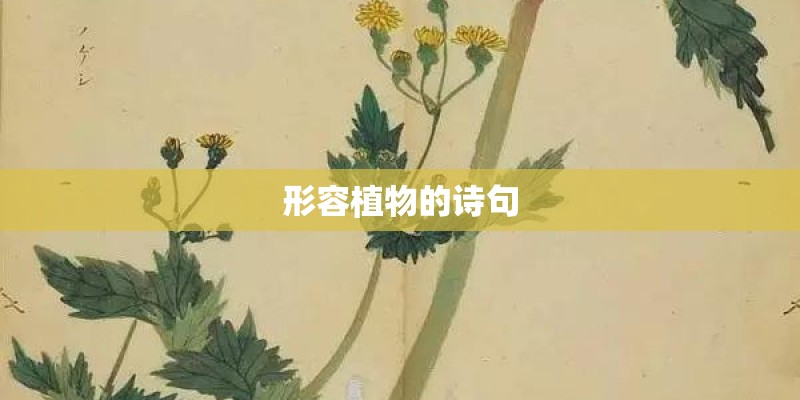 形容植物的诗句
