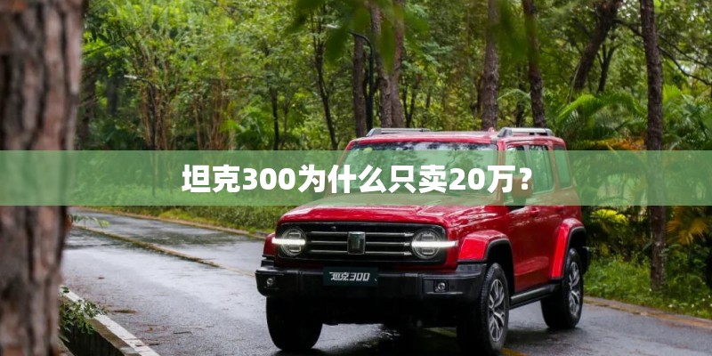 坦克300为什么只卖20万? 坦克300为什么只卖20万?