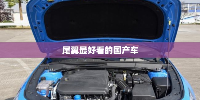 尾翼最好看的国产车