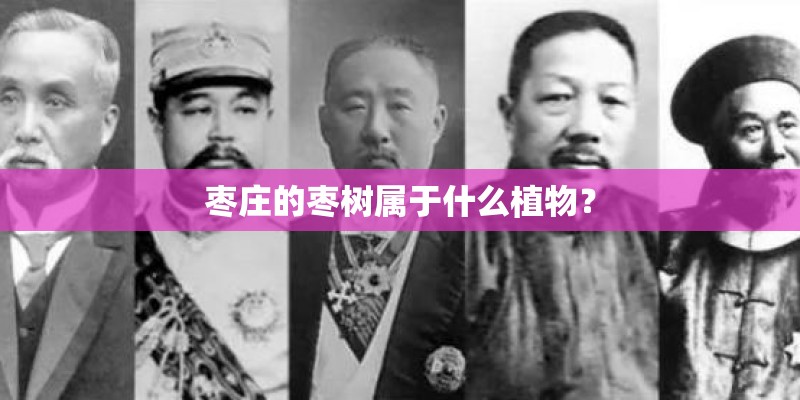 枣庄的枣树属于什么植物? 枣庄的枣树属于什么植物?
