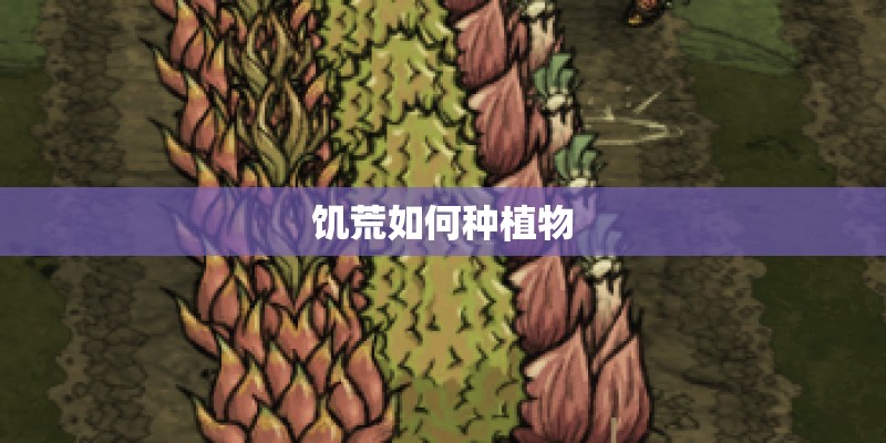 饥荒如何种植物
