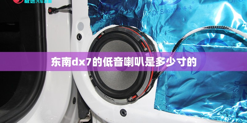东南dx7的低音喇叭是多少寸的 东南dx7的低音喇叭是多少寸的