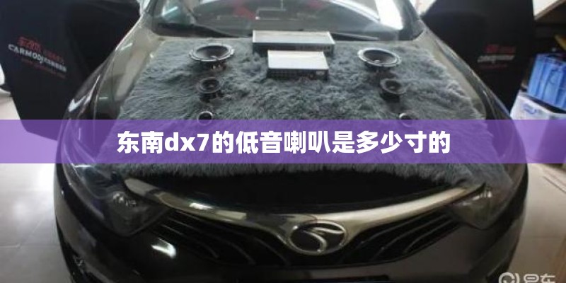 东南dx7的低音喇叭是多少寸的 东南dx7的低音喇叭是多少寸的