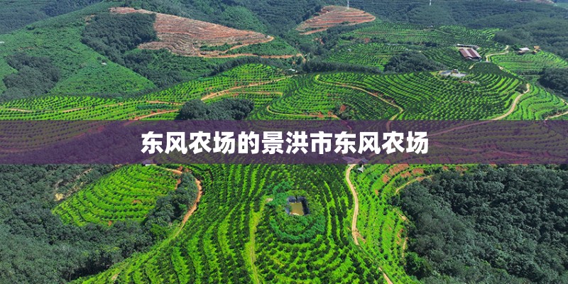 东风农场的景洪市东风农场