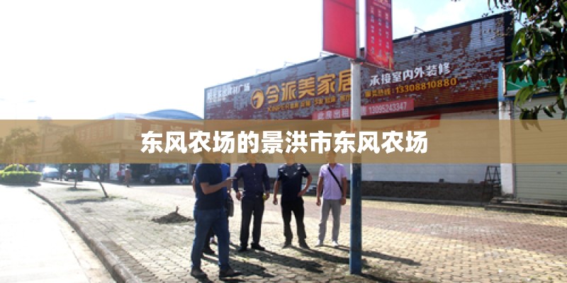 东风农场的景洪市东风农场