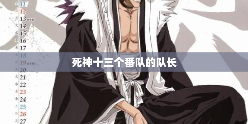 死神十三个番队的队长 死神十三个番队的队长