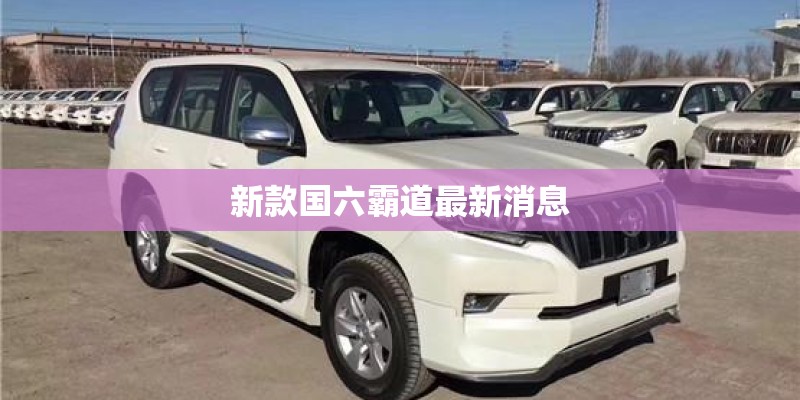 新款国六霸道最新消息