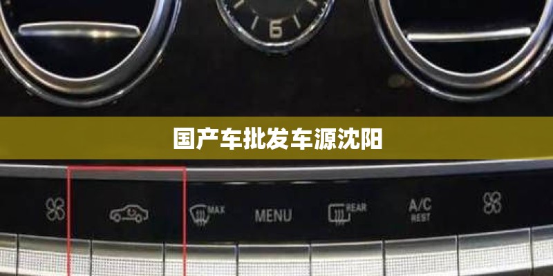 国产车批发车源沈阳