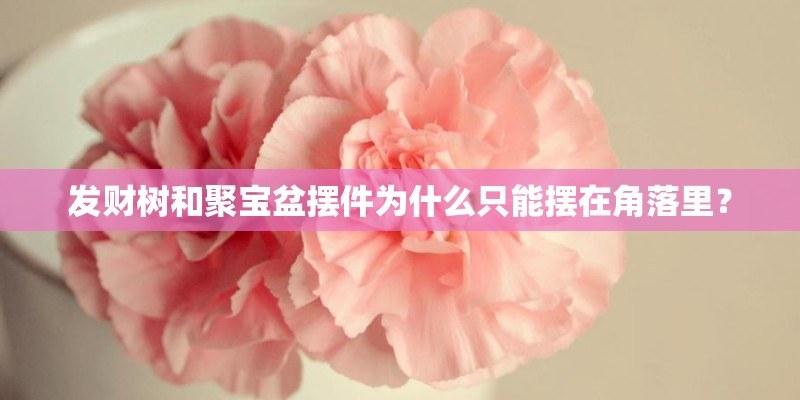 发财树和聚宝盆摆件为什么只能摆在角落里? 发财树和聚宝盆摆件为什么只能摆在角落里?