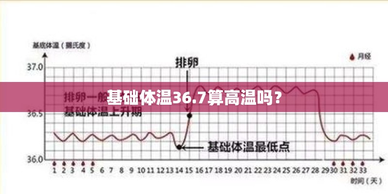 基础体温36.7算高温吗? 基础体温36.7算高温吗?