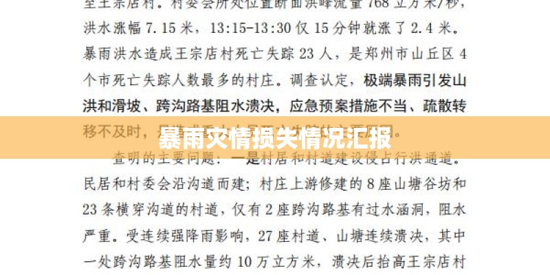 暴雨灾情损失情况汇报
