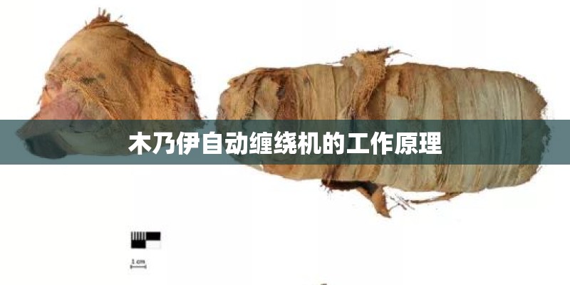 木乃伊自动缠绕机的工作原理