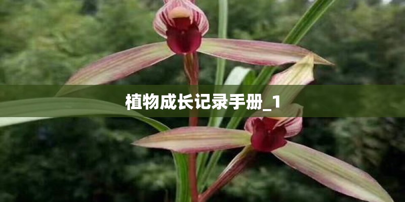 植物成长记录手册_1