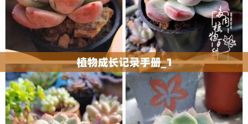 植物成长记录手册_1