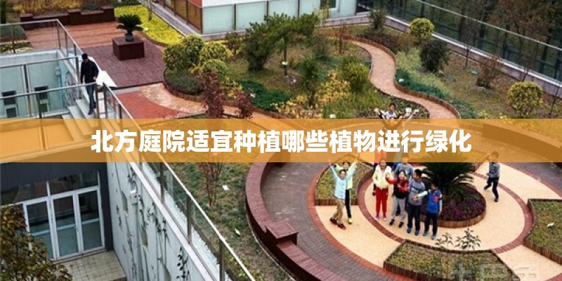 北方庭院适宜种植哪些植物进行绿化