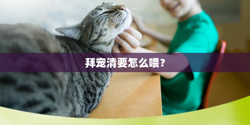 拜宠清要怎么喂？