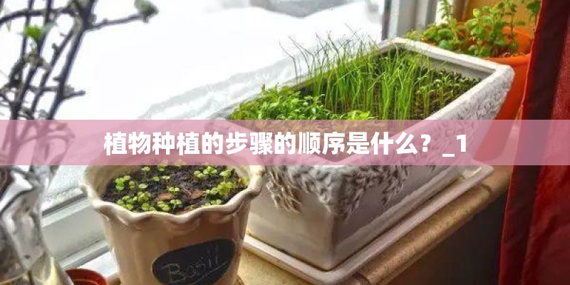 植物种植的步骤的顺序是什么？_1