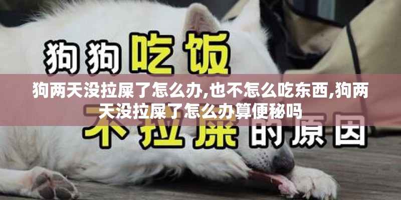 狗两天没拉屎了怎么办,也不怎么吃东西,狗两天没拉屎了怎么办算便秘吗