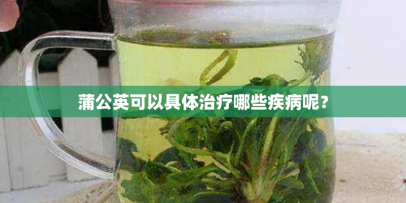 蒲公英可以具体治疗哪些疾病呢？