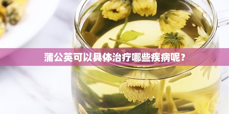 蒲公英可以具体治疗哪些疾病呢？
