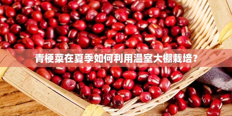 青梗菜在夏季如何利用温室大棚栽培? 青梗菜在夏季如何利用温室大棚栽培?